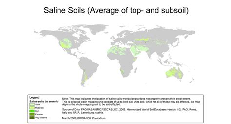 What can we do about salinization of soils? | Ensia