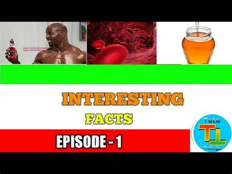 10 Intresting And Amazing Facts YouTube