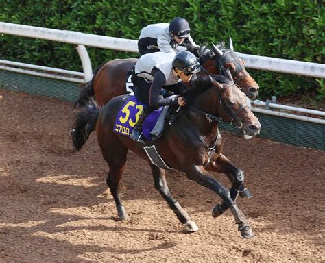 【安田記念】エアロロノア 坂路で併せ半馬身先着、笹田師「高速馬場でも大丈夫」 スポニチ競馬web