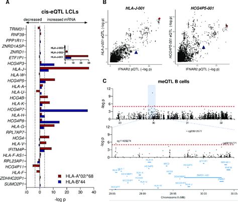 The Ms Protective Class I Alleles Are Cis Eqtls Of Hla J A Cis Eqtl Download Scientific