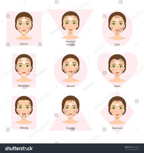 Set Different Woman Face Types Vector Stock Vector Royalty Free