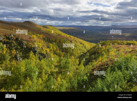 Vasterbotten County Hi Res Stock Photography And Images Alamy