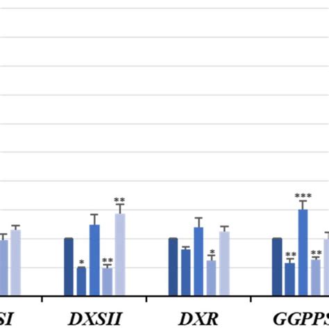 Gene Expression Of Phenolic Acid Related Compounds In Salvia