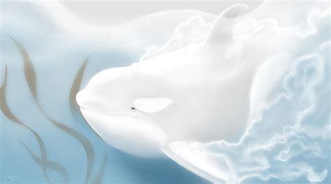 Dream Whale By Hysazu On Deviantart