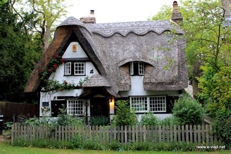 40 Beautiful Thatch Roof Cottage House Designs