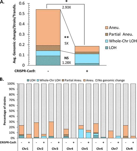 Nature Of Genomic Changes Identified Within Sequenced C Albicans