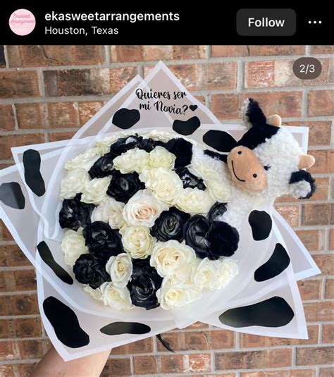 A Person Holding A Bouquet Of White And Black Flowers With A Cow On The