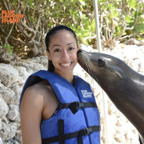 The Sea Lion Encounter At Blue Lagoon The Bahamas