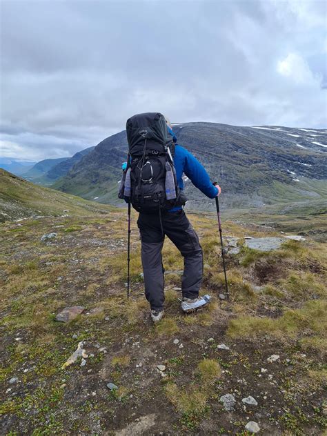 The Olympic National forest has some big trees : r/hiking