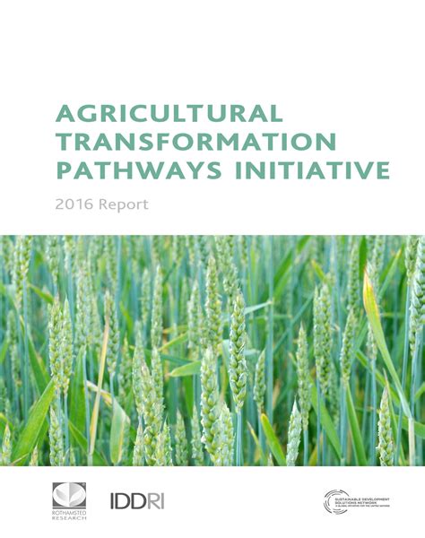 Agricultural Transformation Pathways Initiative Report