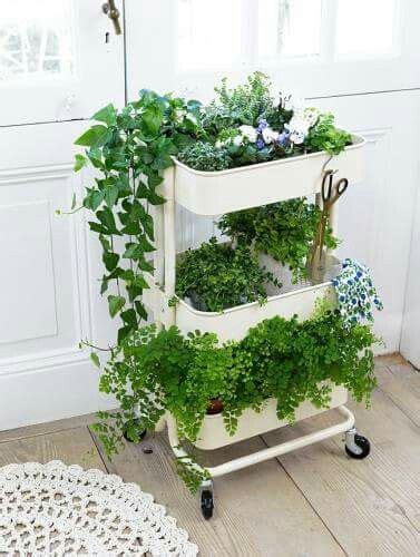 Easily Moveable Herb Planters On Wheel From Old Ikea Bar Cart Diy