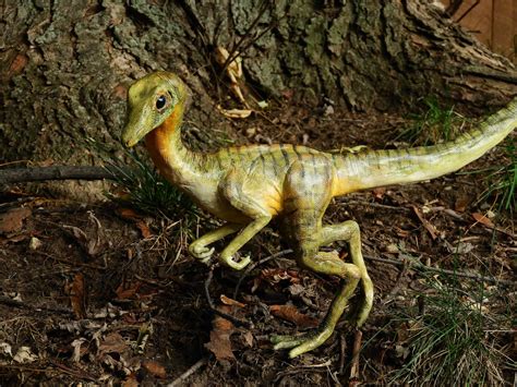 Compy Life Size Replica Dinosaur Model Etsy