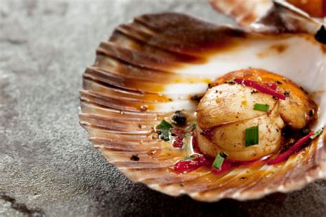 Cooked And Seasoned Scallop In Its Shell Stock Photo Download Image