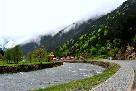 Uzungöl, Trabzon Places To Go, Sidewalk, Country Roads, River ...