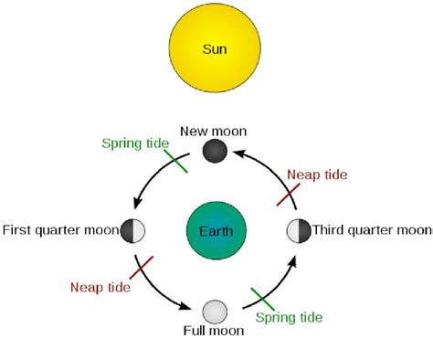 TIDAL CYCLES & CLIMATE CHANGE | Thongchai Thailand