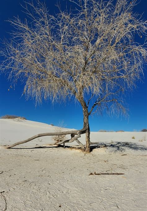 White Sands National Park – Bernard and Claudette's RV Adventure