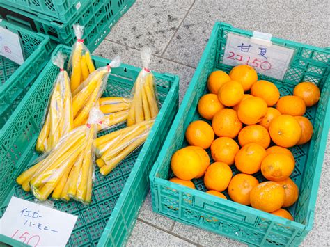 【さいたま市見沼区】「さいたま市民の日」を記念したプレゼント企画も♪4月24日水11時～13時、見沼区役所にて「みぬマルシェ」が開催され