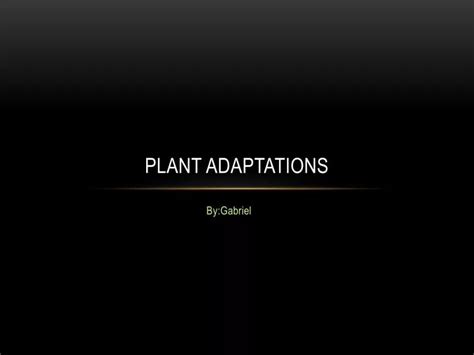 Ppt Plant Adaptations Powerpoint Presentation Free Download Id4695132