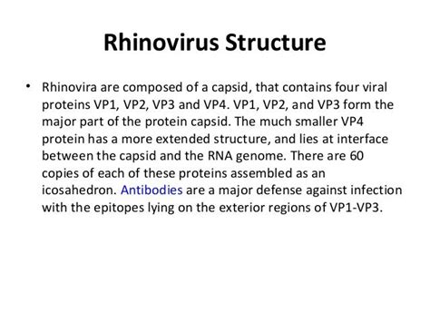 Rhinovirus Structure - 6sk6 Cryo Em Structure Of Rhinovirus B5 / Crystal structure of a human ...