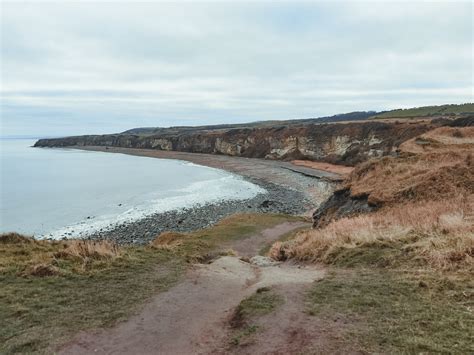 Durham Heritage Coast Dog Friendly Destinations