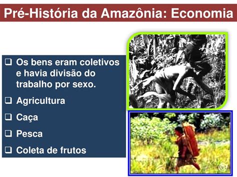 PPT Fases da Pré história da Amazônia PowerPoint Presentation free