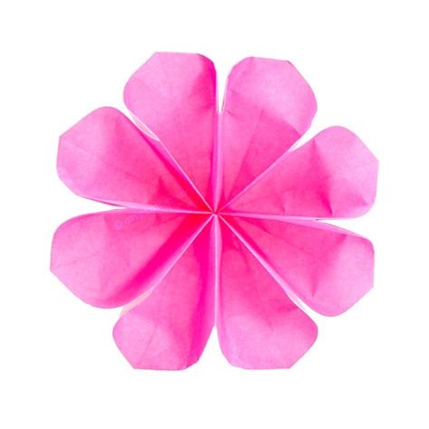 How To Make An Origami Lotus Flower Folding Instructions