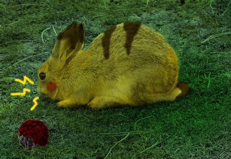 Pikachu Bunny By Rollingaard On Deviantart