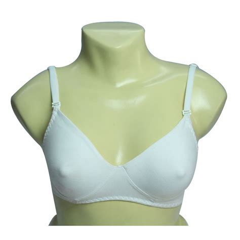 White Plain Seamless Cotton Bra Size 34b At Rs 95 Piece In Delhi Id