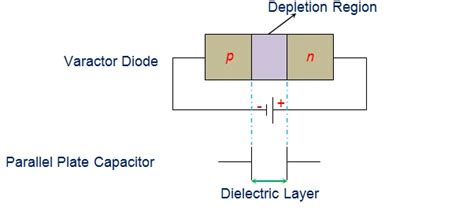 Varactor Diode - Construction, Characteristics & Applications | ProtonsTalk