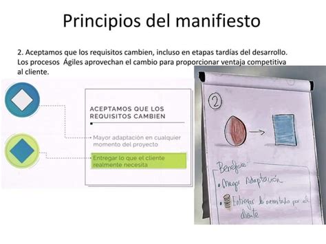 Manifiesto Gil Y Principios Para La Gesti N De Proyectos Ppt