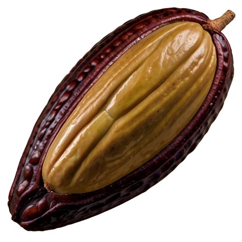 Download Cacao Bean Closeup Png Sex