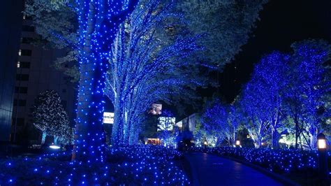 Blue Lights Decorated Tree HD Christmas Wallpapers | HD Wallpapers | ID #53515