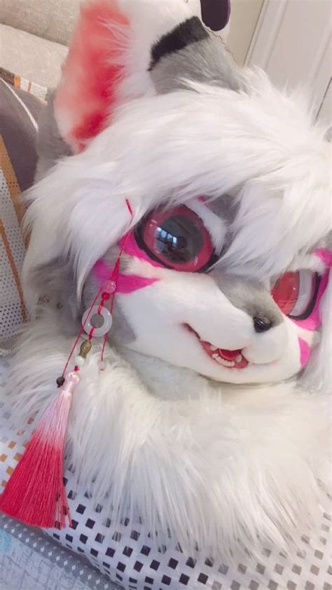 Really Beautiful Cat Furry Fursuit Furry Anthro Furry