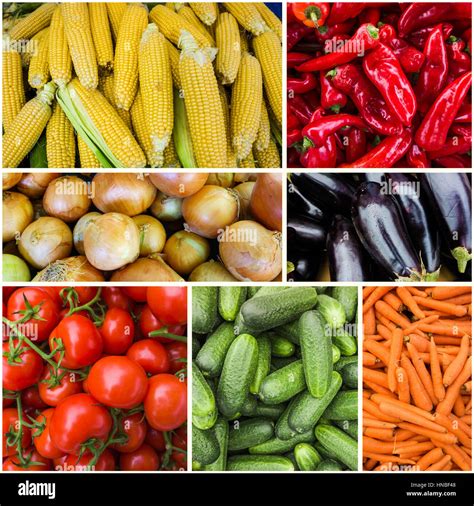Fresh Farm Vegetables Ripe Vegetables Background Stock Photo Alamy