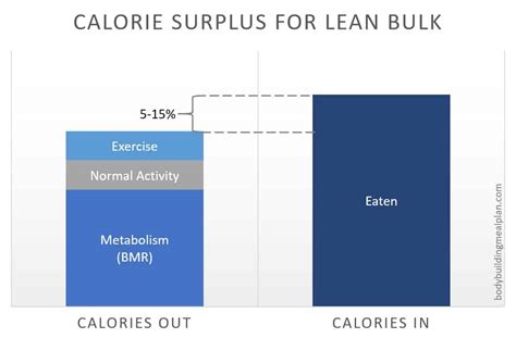 Lean Bulk Meal Plan Custom Plans To Build Muscle Without Getting Fat