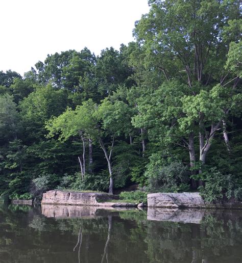 Kayaking Across Ohio: Piedmont Lake: Feels Like You Are Miles From ...