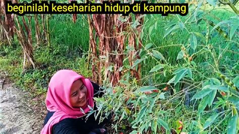 Masya Allah Seindah Ini Hidup Di Kampung Terpencil Suasana Sejuk Adem