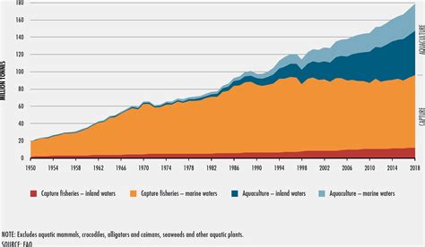 Overfishing Statistics And Facts You Should Know About Earth Org