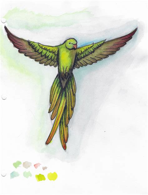 Parrot Sketch on Behance