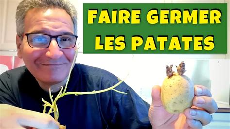 Comment Faire Germer Les Pommes De Terre Avant De Les Planter Au