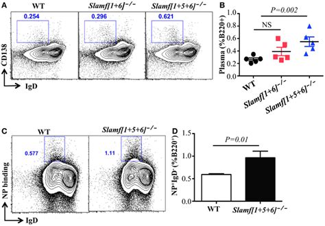 A Combined Absence Of SLAMF1 SLAMF5 And SLAMF6 Enhances Antigen