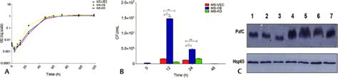 Growth Kinetics And Intracellular Survival A Growth Curve Assay Of