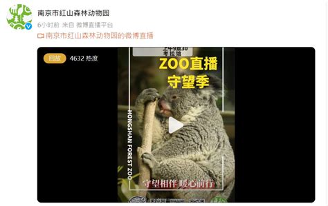 南京動物園疫下關閉缺錢 動物直播賣萌開放助養籌款救園 星島日報