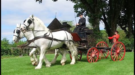 Horse Drawn Carriages Youtube