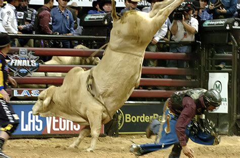 Bull Riding And Rodeo The Legendary Bulls Of The Pbr Bonsall