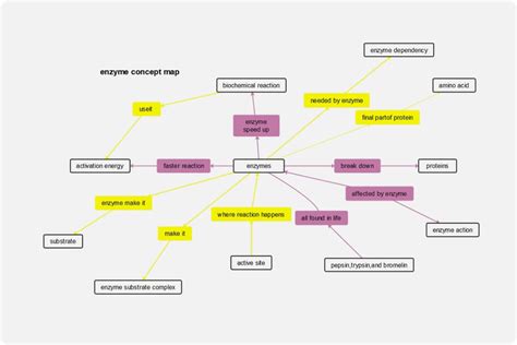 Concept Map About Enzymes Venus Jeannine