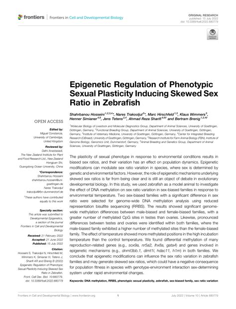 PDF Epigenetic Regulation Of Phenotypic Sexual Plasticity Inducing Skewed Sex Ratio In Zebrafish