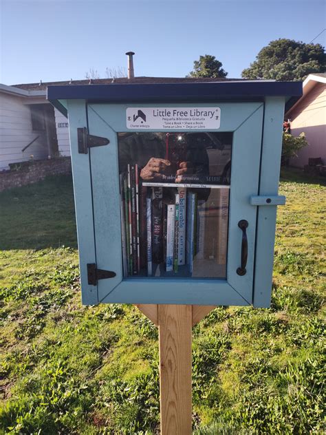 Tiny Libraries Marie Judson