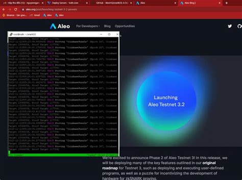 H Ng D N Ch Y Node Trong Aleo Testnet Nh N Airdrop