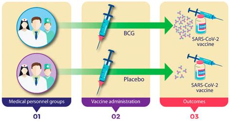 Cells Free Full Text Effect Of Bcg Revaccination On Occupationally